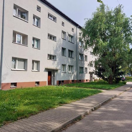 Апартаменты Mieszkanie Przy Stadionie Arena Tarczynski Вроцлав Экстерьер фото